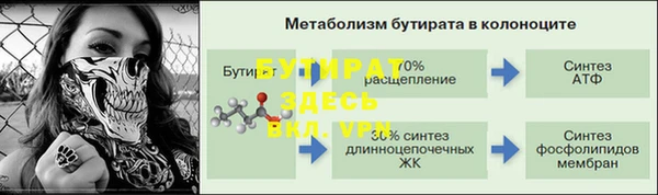 сатива Богданович