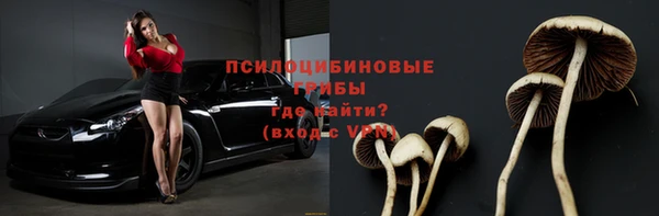 сатива Богданович