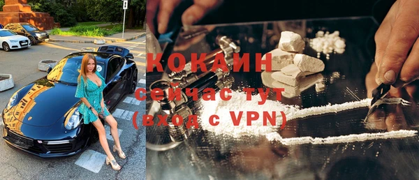 сатива Богданович