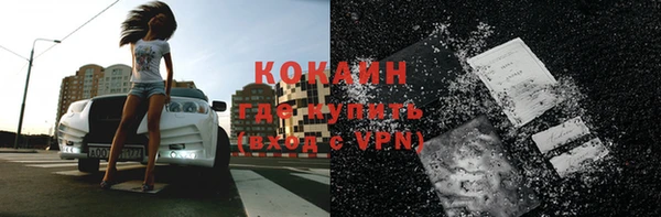 сатива Богданович