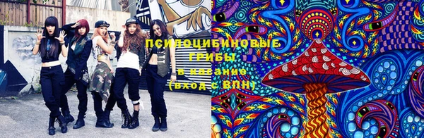 сатива Богданович