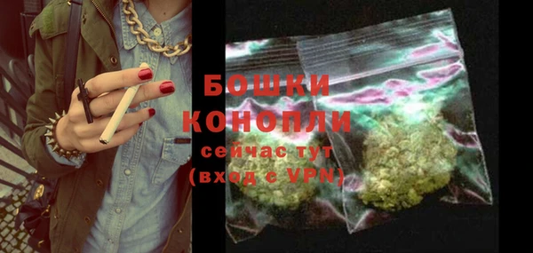 сатива Богданович