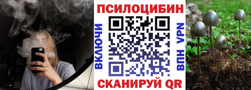 где продают   Нолинск  Галлюциногенные грибы прущие грибы 