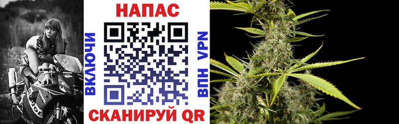 Бошки марихуана SATIVA & INDICA  Нолинск 